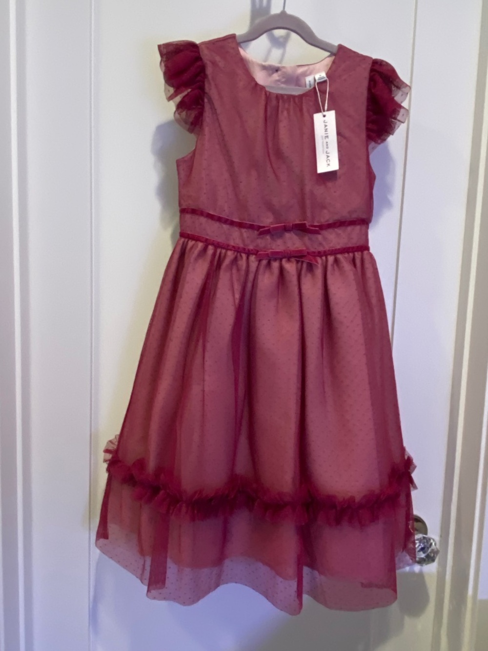 Janie and Jack Dot Tulle Dress Deep Burgundy - NWT